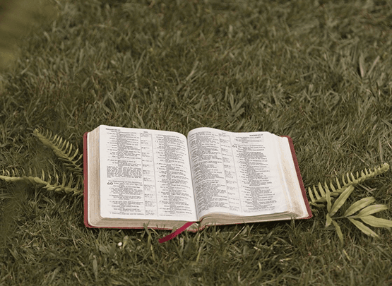 Topical Bible study guide